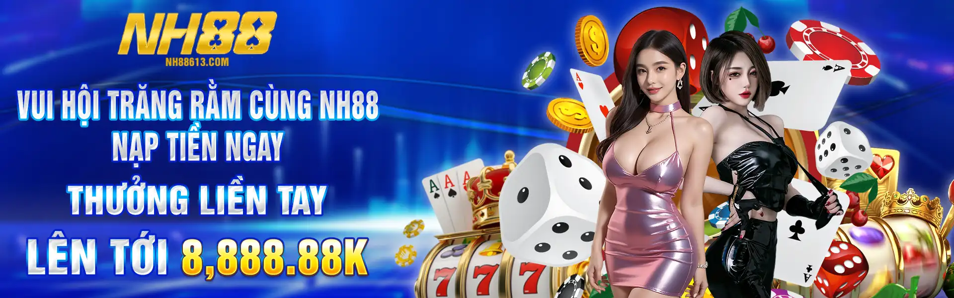Banner NH88