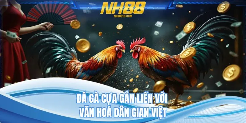 Đá gà cựa gắn liền với văn hoá dân gian Việt